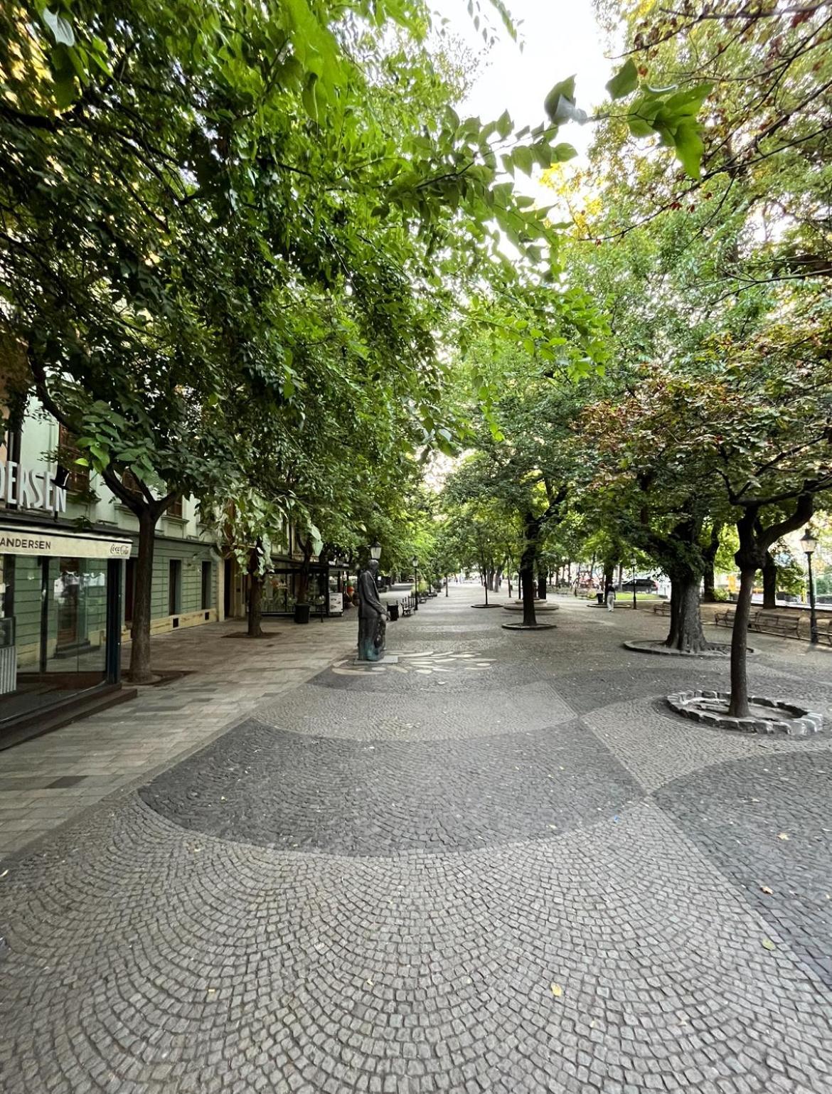Apartment Hviezdoslav Square, The Historic Heart Of Bratislava Apartman Pozsony